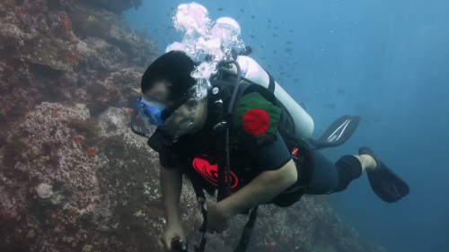 Adobe Express - file