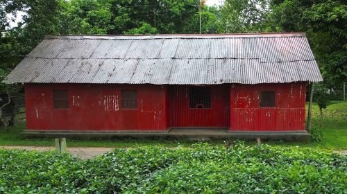 Kalighat Post Office Story(8)