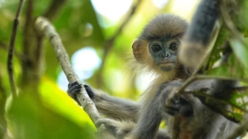 VideoCapture_20250102-233152