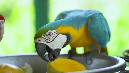 vlcsnap-2026-02-18-15h52m11s263